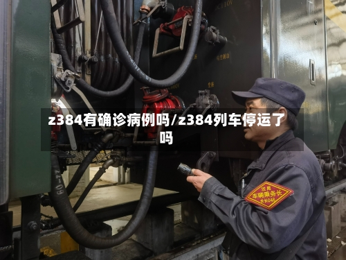 z384有确诊病例吗/z384列车停运了吗