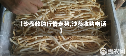 【沙参收购行情走势,沙参收购电话】-第2张图片