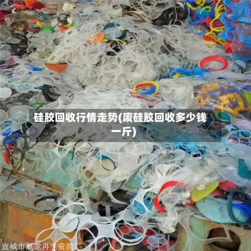 硅胶回收行情走势(废硅胶回收多少钱一斤)-第2张图片