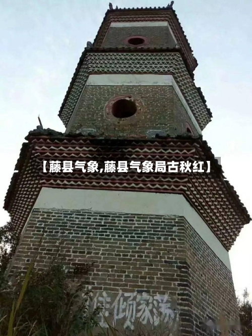 【藤县气象,藤县气象局古秋红】-第2张图片