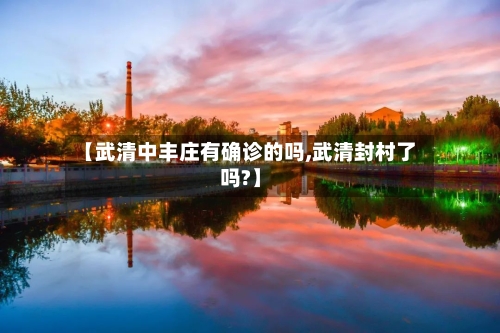 【武清中丰庄有确诊的吗,武清封村了吗?】-第3张图片