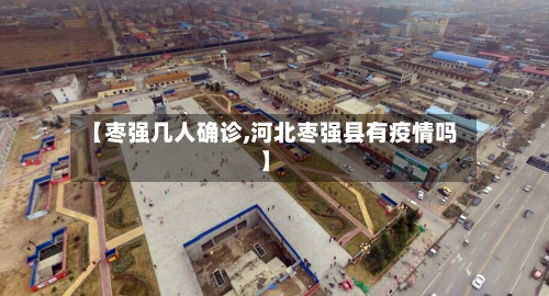 【枣强几人确诊,河北枣强县有疫情吗】-第2张图片