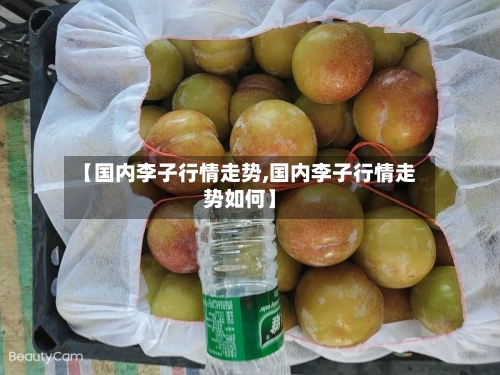 【国内李子行情走势,国内李子行情走势如何】