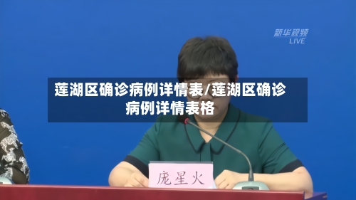 莲湖区确诊病例详情表/莲湖区确诊病例详情表格-第2张图片