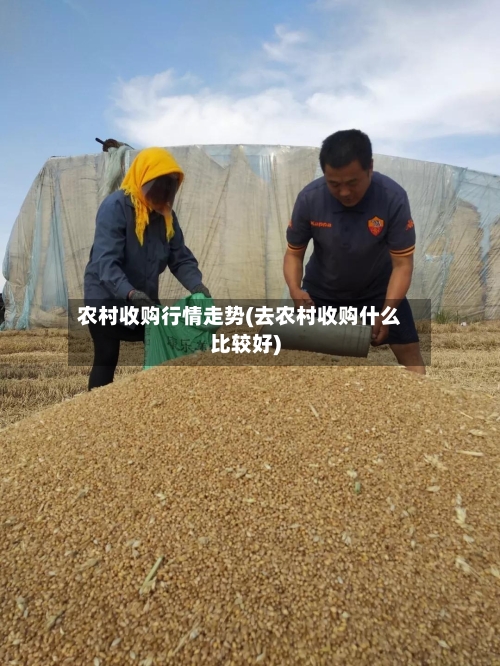 农村收购行情走势(去农村收购什么比较好)-第3张图片