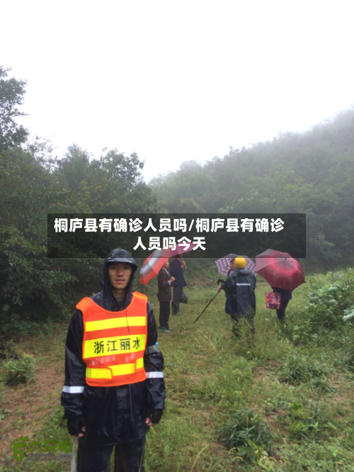 桐庐县有确诊人员吗/桐庐县有确诊人员吗今天-第2张图片
