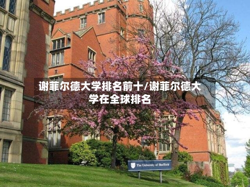 谢菲尔德大学排名前十/谢菲尔德大学在全球排名-第3张图片