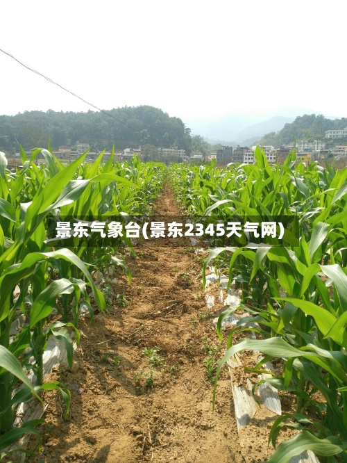 景东气象台(景东2345天气网)-第2张图片