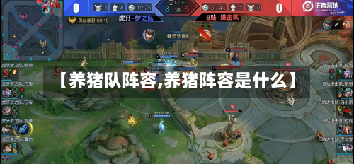 【养猪队阵容,养猪阵容是什么】-第2张图片