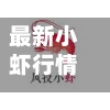 最新小虾行情走势(511小虾费用最新行情今日)-第2张图片
