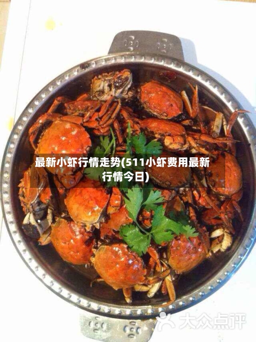 最新小虾行情走势(511小虾费用最新行情今日)