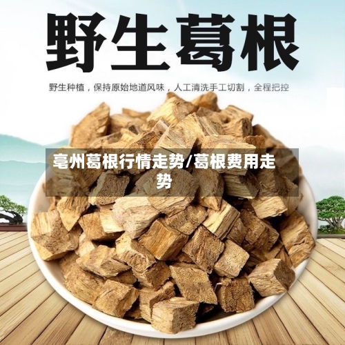 亳州葛根行情走势/葛根费用走势-第2张图片