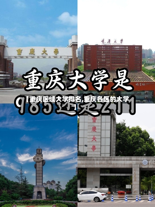【重庆区域大学排名,重庆各区的大学】