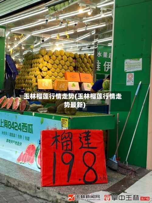 玉林榴莲行情走势(玉林榴莲行情走势最新)-第2张图片