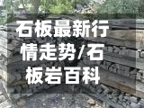 石板最新行情走势/石板岩百科-第2张图片