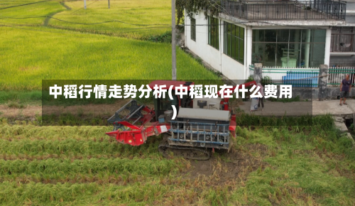 中稻行情走势分析(中稻现在什么费用)