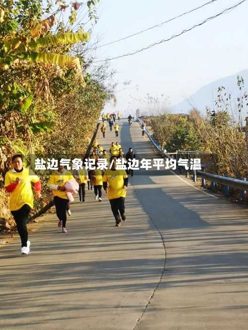 盐边气象记录/盐边年平均气温-第2张图片
