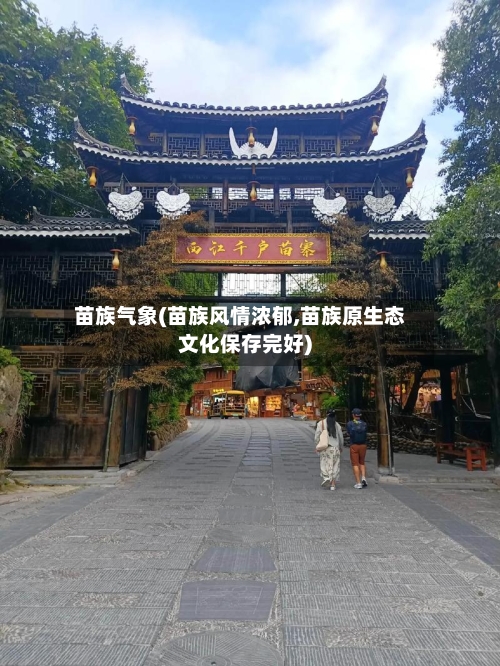 苗族气象(苗族风情浓郁,苗族原生态文化保存完好)