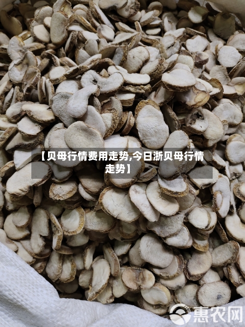 【贝母行情费用走势,今日浙贝母行情走势】-第2张图片