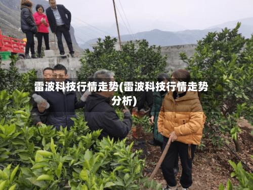 雷波科技行情走势(雷波科技行情走势分析)-第2张图片
