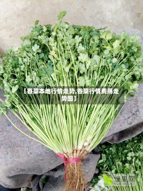 【香菜本地行情走势,香菜行情费用走势图】
