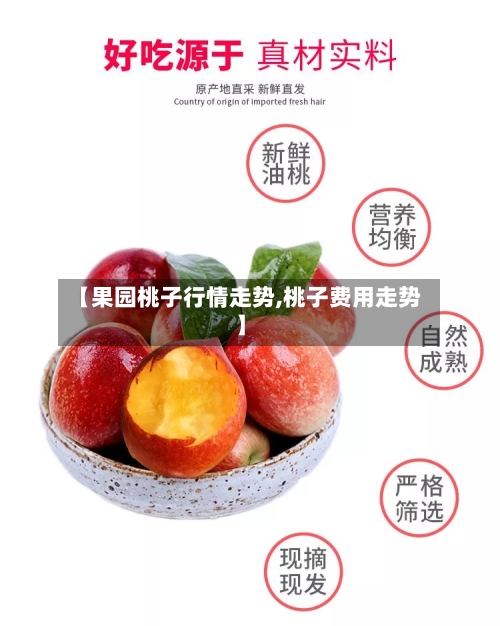 【果园桃子行情走势,桃子费用走势】-第3张图片