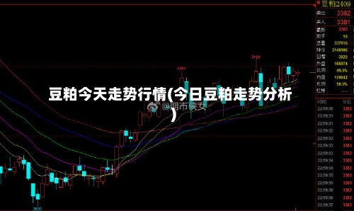 豆粕今天走势行情(今日豆粕走势分析)-第2张图片