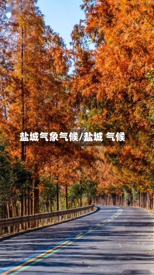 盐城气象气候/盐城 气候-第2张图片