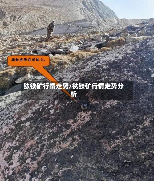 钛铁矿行情走势/钛铁矿行情走势分析-第2张图片