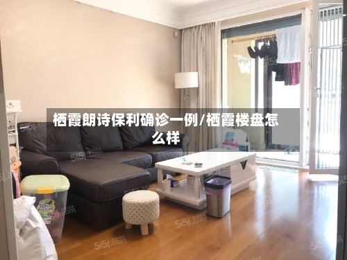 栖霞朗诗保利确诊一例/栖霞楼盘怎么样