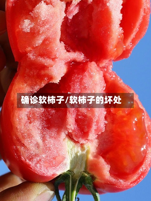 确诊软柿子/软柿子的坏处-第2张图片