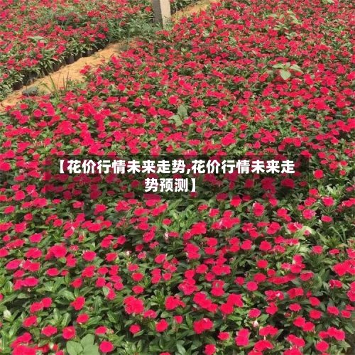 【花价行情未来走势,花价行情未来走势预测】