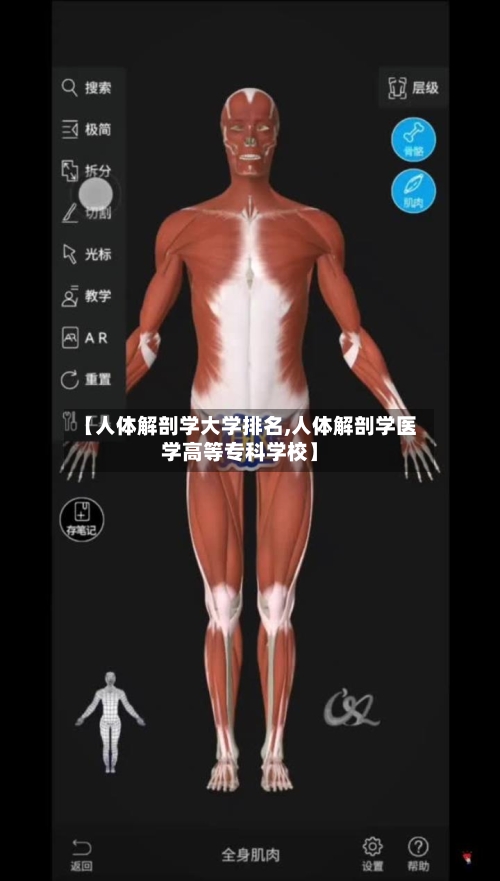 【人体解剖学大学排名,人体解剖学医学高等专科学校】-第2张图片