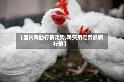 【国内鸡肋行情走势,鸡费用走势最新行情】