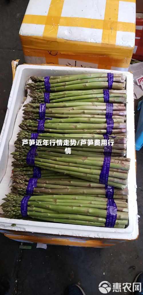 芦笋近年行情走势/芦笋费用行情-第3张图片