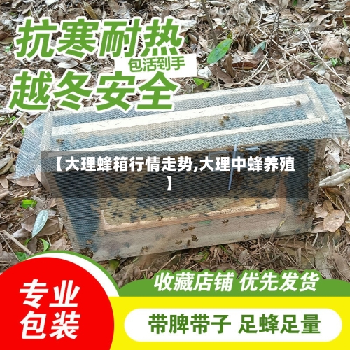 【大理蜂箱行情走势,大理中蜂养殖】-第3张图片