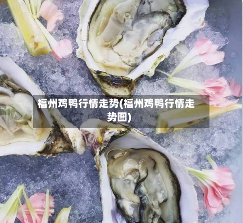 福州鸡鸭行情走势(福州鸡鸭行情走势图)