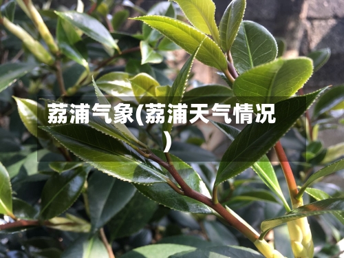 荔浦气象(荔浦天气情况)-第2张图片
