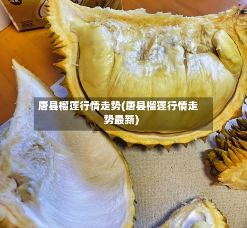 唐县榴莲行情走势(唐县榴莲行情走势最新)