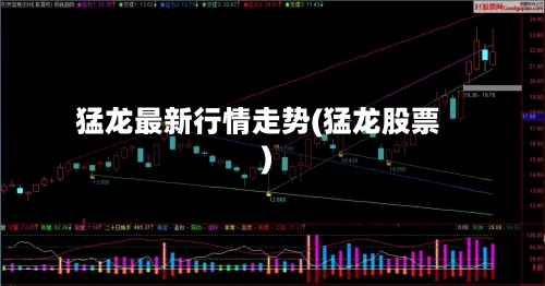 猛龙最新行情走势(猛龙股票)