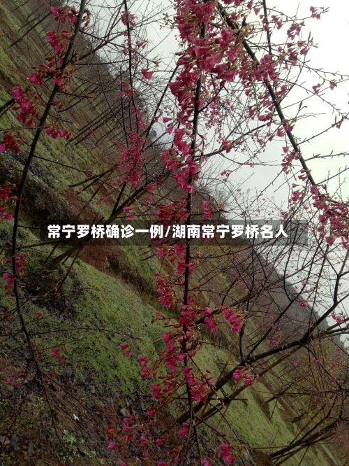 常宁罗桥确诊一例/湖南常宁罗桥名人