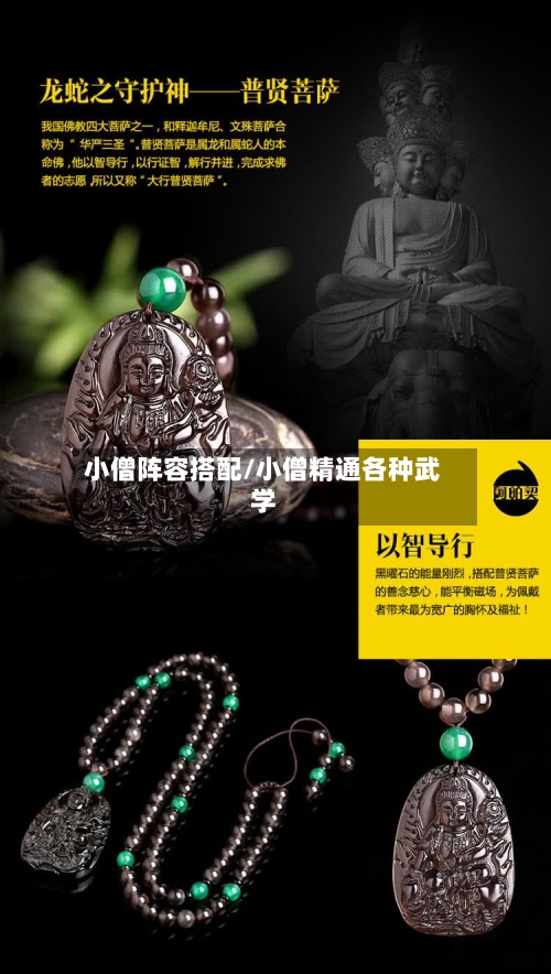 小僧阵容搭配/小僧精通各种武学-第2张图片