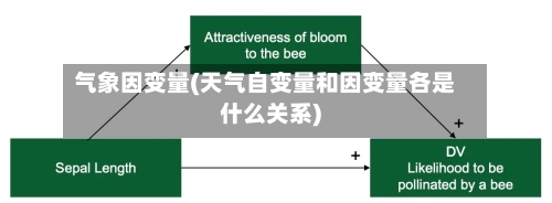 气象因变量(天气自变量和因变量各是什么关系)