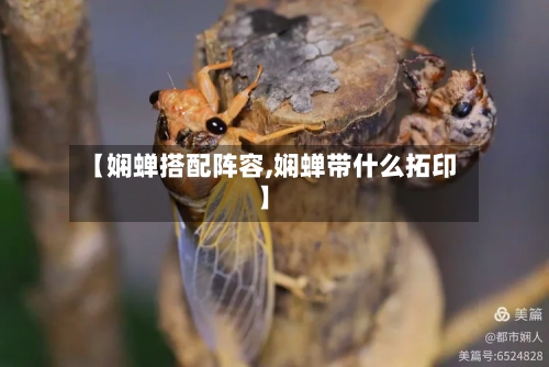 【娴蝉搭配阵容,娴蝉带什么拓印】-第2张图片