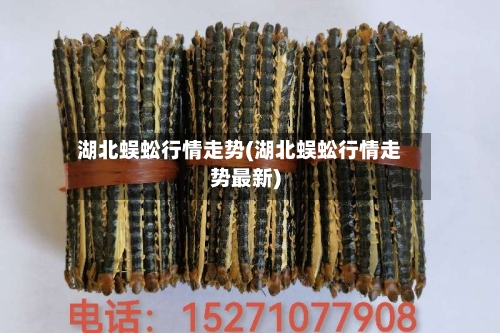 湖北蜈蚣行情走势(湖北蜈蚣行情走势最新)