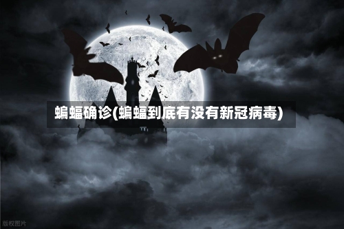 蝙蝠确诊(蝙蝠到底有没有新冠病毒)-第2张图片