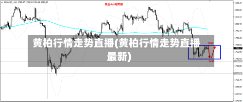 黄柏行情走势直播(黄柏行情走势直播最新)