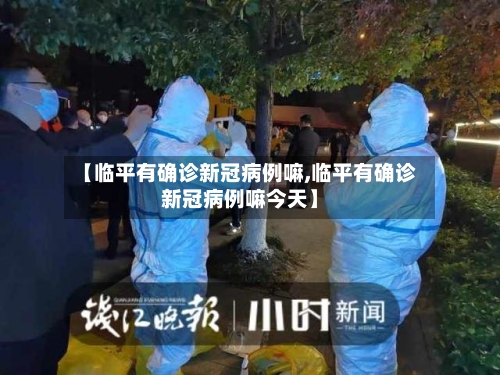 【临平有确诊新冠病例嘛,临平有确诊新冠病例嘛今天】