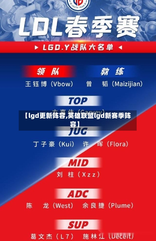 【lgd更新阵容,英雄联盟lgd新赛季阵容】