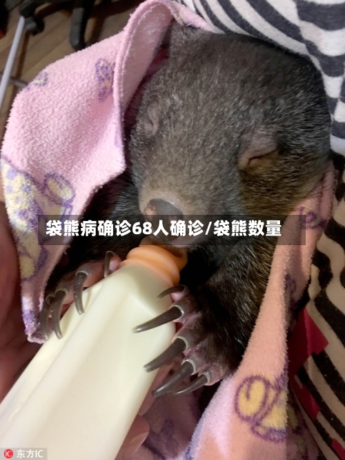 袋熊病确诊68人确诊/袋熊数量-第2张图片